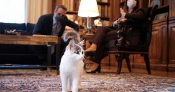Επίκαιρη ερώτηση για το αν τρώει κρατικά Friskies η γάτα του προεδρικού μεγάρου κατέθεσαν βουλευτές του ΣΥΡΙΖΑ
