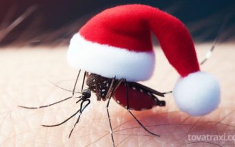 Ενθουσιασμένο που θα κάνει Χριστούγεννα στην Ελλάδα δηλώνει κουνούπι