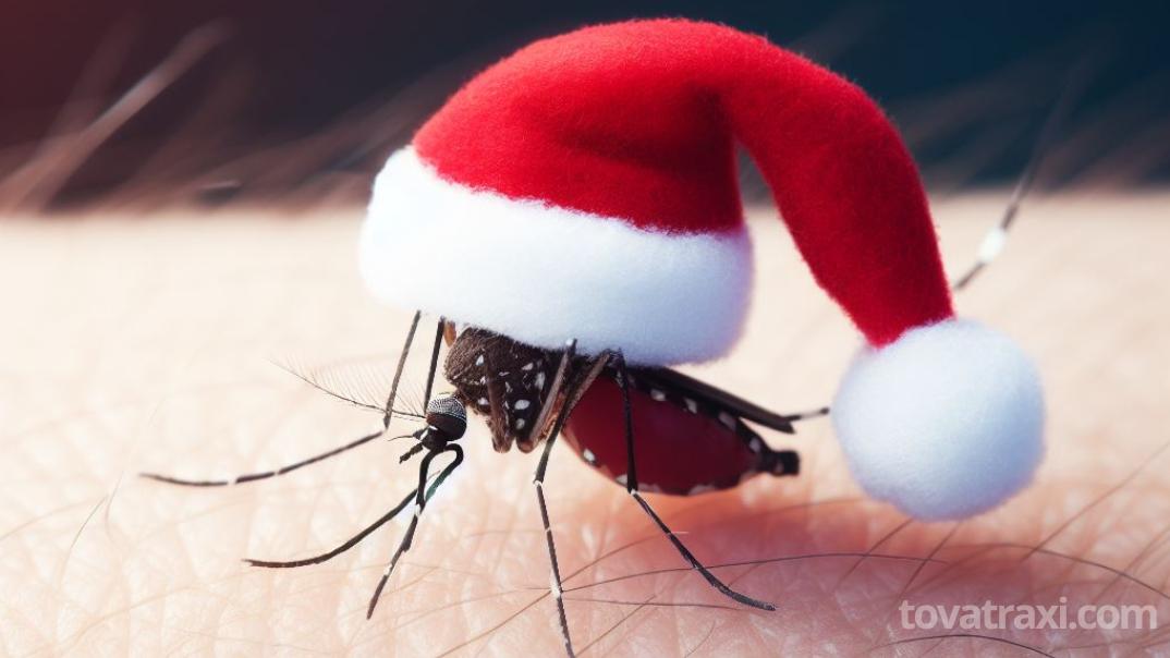 Ενθουσιασμένο που θα κάνει Χριστούγεννα στην Ελλάδα δηλώνει κουνούπι