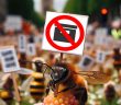 Ξεχωριστή διαμαρτυρία πραγματοποίησαν στην Κυψέλη οι μέλισσες της χώρας
